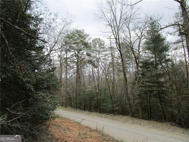 3 AC East New Hope Road, Ellijay, GA 30536