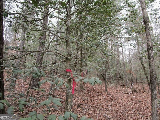 3 AC East New Hope Road, Ellijay, GA 30536