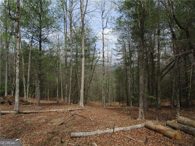 3 AC East New Hope Road, Ellijay, GA 30536