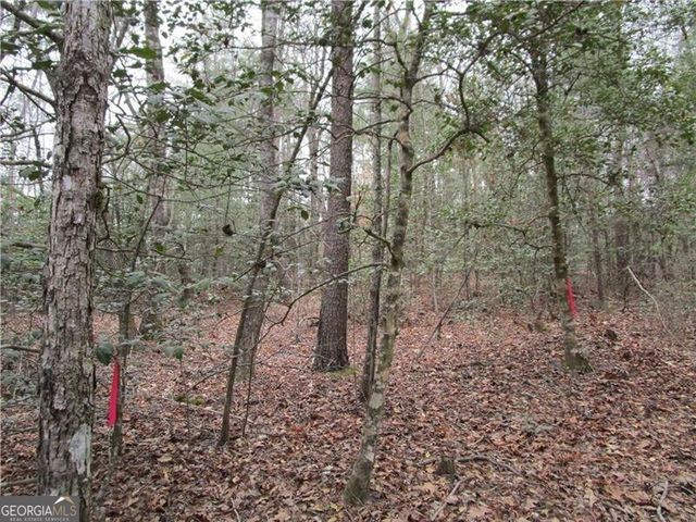 3 AC East New Hope Road, Ellijay, GA 30536