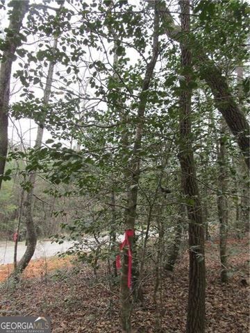 3 AC East New Hope Road, Ellijay, GA 30536