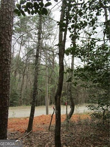 3 AC East New Hope Road, Ellijay, GA 30536