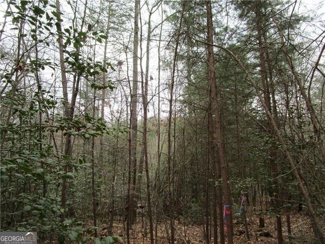 3 AC East New Hope Road, Ellijay, GA 30536