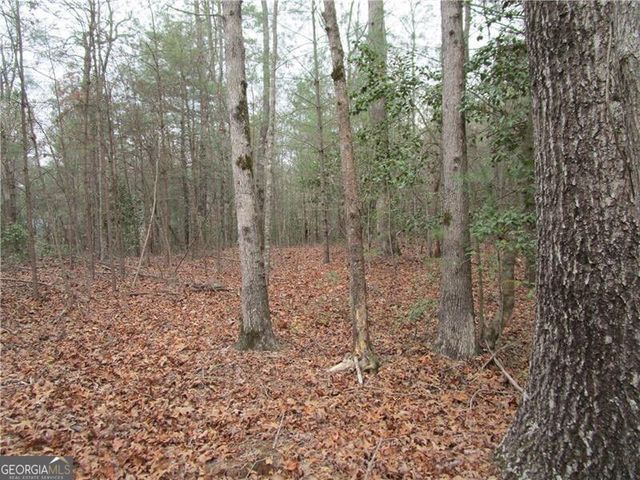 3 AC East New Hope Road, Ellijay, GA 30536