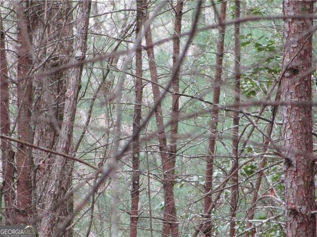 3 AC East New Hope Road, Ellijay, GA 30536