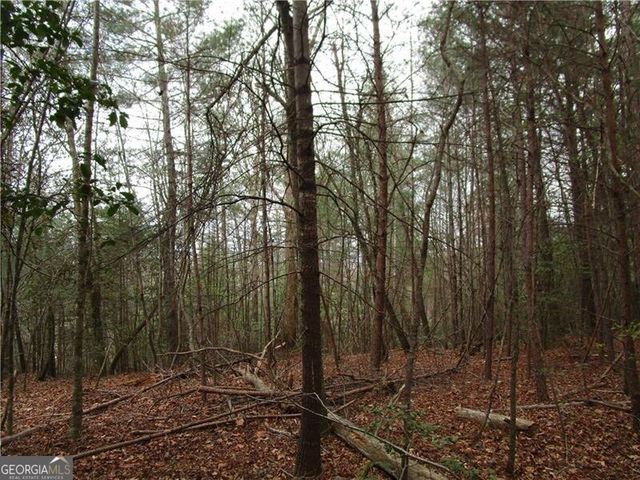 3 AC East New Hope Road, Ellijay, GA 30536