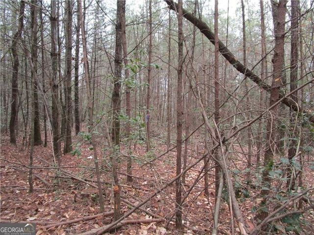 3 AC East New Hope Road, Ellijay, GA 30536