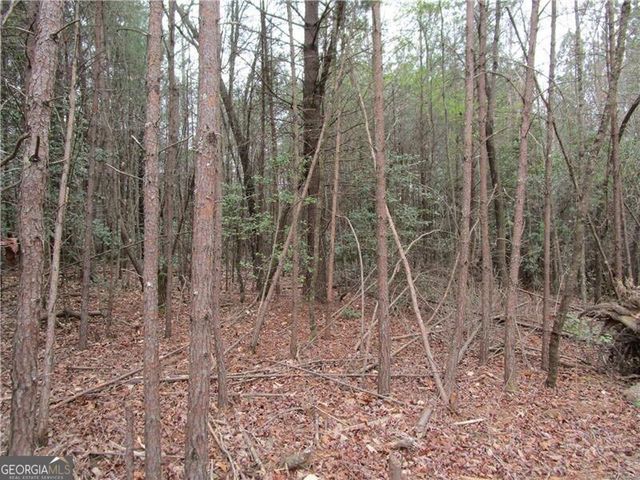 3 AC East New Hope Road, Ellijay, GA 30536