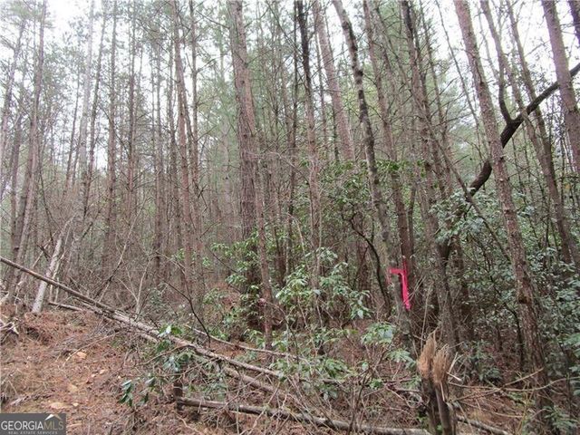 3 AC East New Hope Road, Ellijay, GA 30536