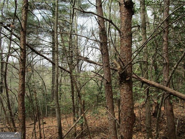 3 AC East New Hope Road, Ellijay, GA 30536