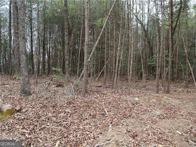 3 AC East New Hope Road, Ellijay, GA 30536