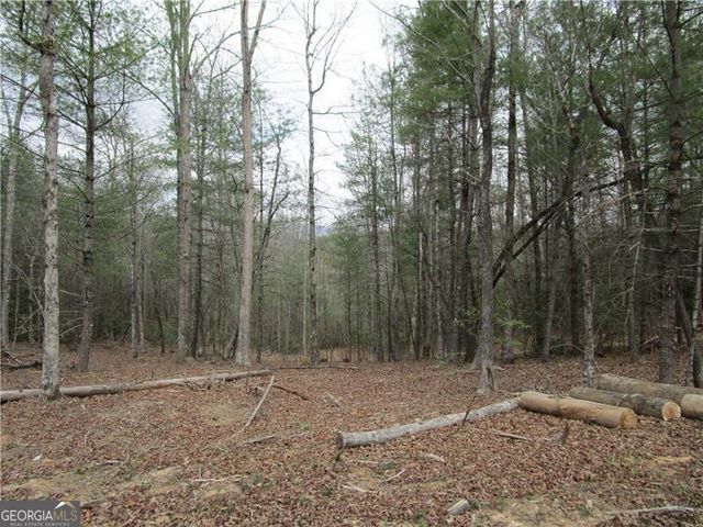3 AC East New Hope Road, Ellijay, GA 30536