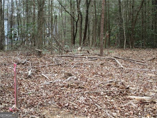 3 AC East New Hope Road, Ellijay, GA 30536