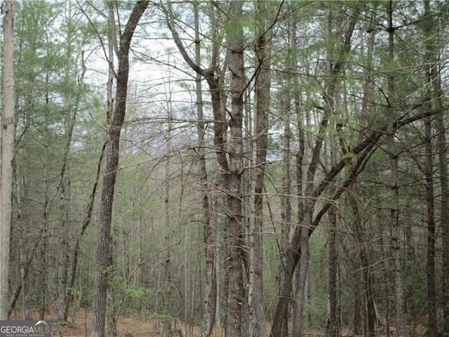 3 AC East New Hope Road, Ellijay, GA 30536