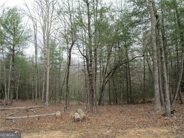 3 AC East New Hope Road, Ellijay, GA 30536