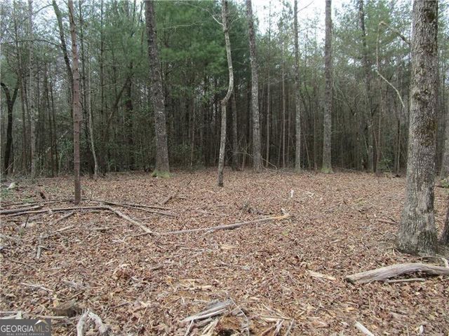 3 AC East New Hope Road, Ellijay, GA 30536