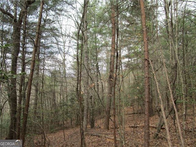 3 AC East New Hope Road, Ellijay, GA 30536