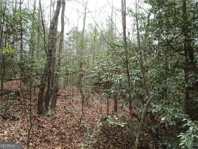 3 AC East New Hope Road, Ellijay, GA 30536
