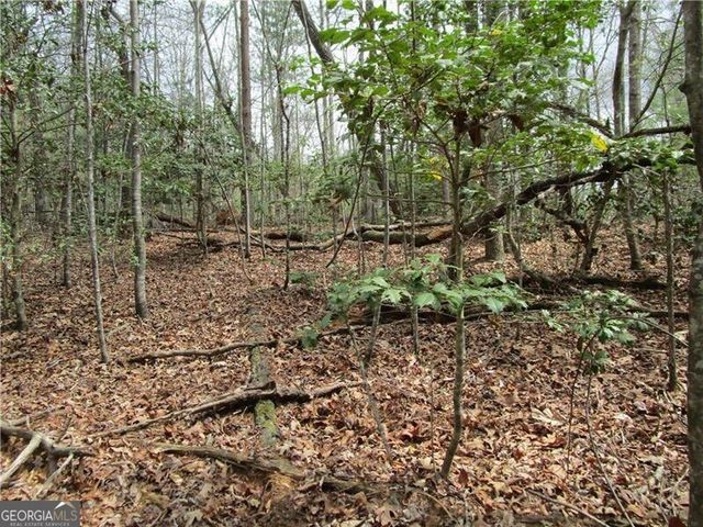 3 AC East New Hope Road, Ellijay, GA 30536