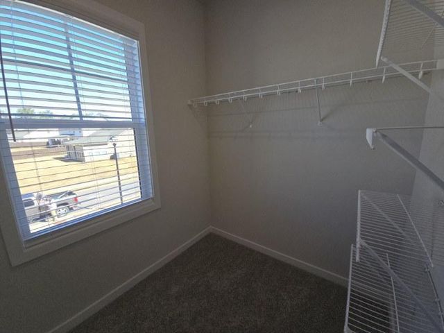 440 Winding Rose Drive, Hoschton, GA 30548