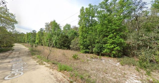 117 GEORGE WAY, Interlachen, FL 32148