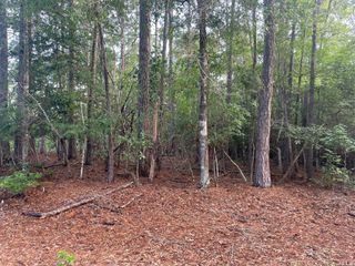 LOT 2 Buckeye Street W, Village Mills, TX 77663
