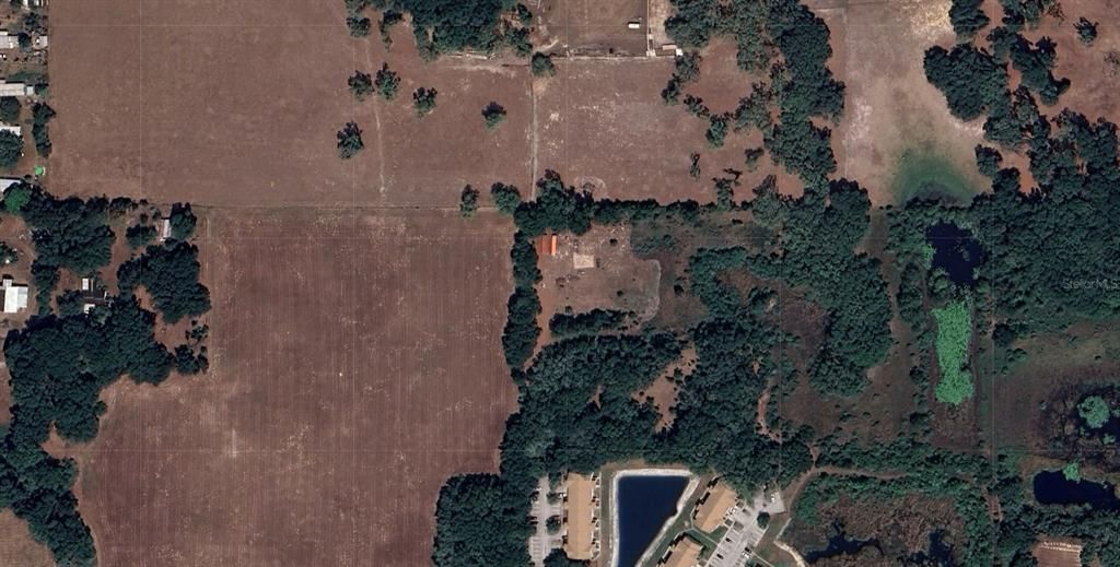 12896 AMBER RENEE LANE, Dade City, FL 33525