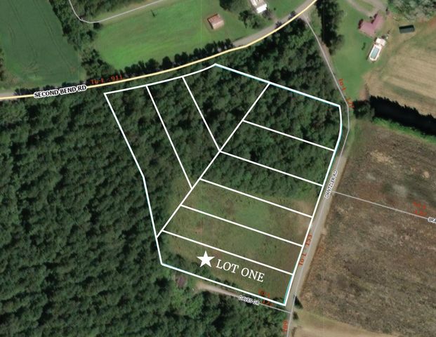 1 Dantzler Road Lot 1, Harleyville, SC 29448