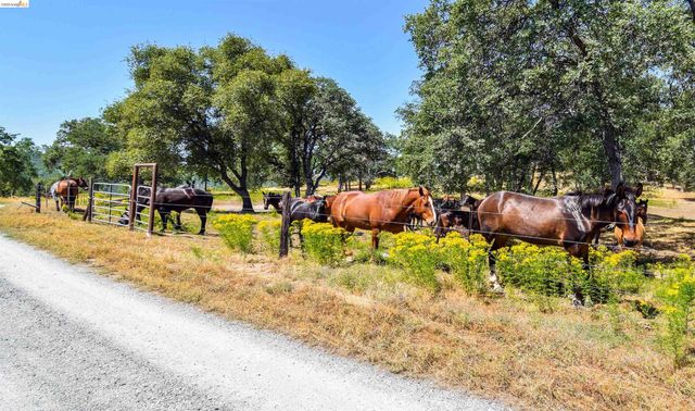 26255 Powell Ranch Rd, Sonora, CA 95370