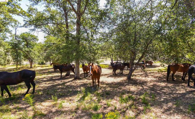 26255 Powell Ranch Rd, Sonora, CA 95370