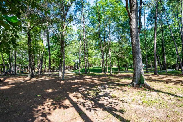 3810 Wildwood Valley Court, Houston, TX 77345