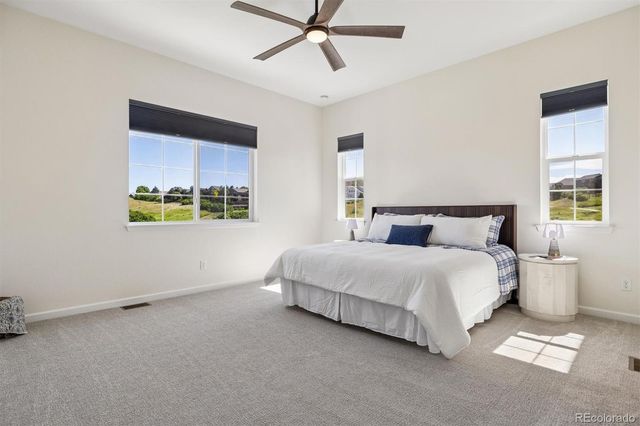 1298 Melting Snow Way, Castle Rock, CO 80109
