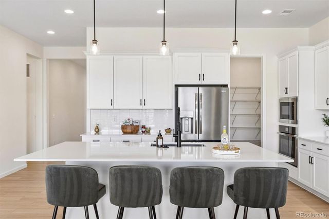 1298 Melting Snow Way, Castle Rock, CO 80109