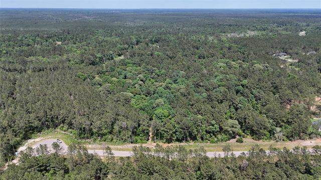 16308 Golden Wood Court, Willis, TX 77378