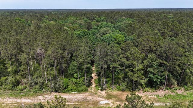 16308 Golden Wood Court, Willis, TX 77378