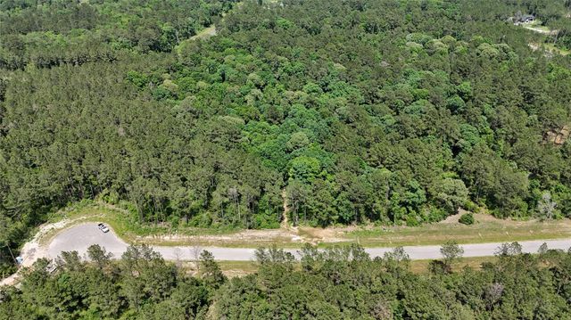 16308 Golden Wood Court, Willis, TX 77378