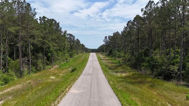 16308 Golden Wood Court, Willis, TX 77378