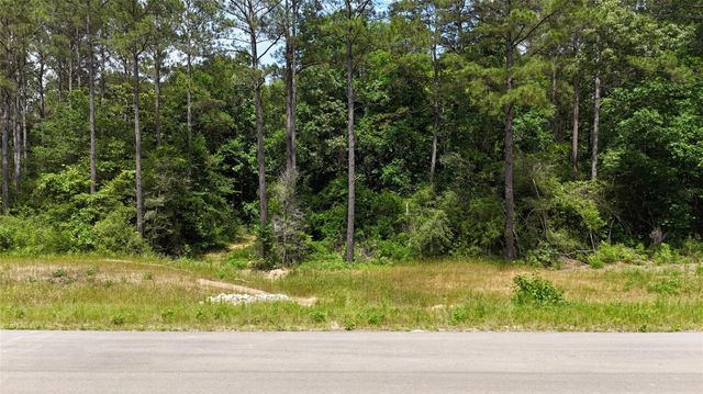 16308 Golden Wood Court, Willis, TX 77378