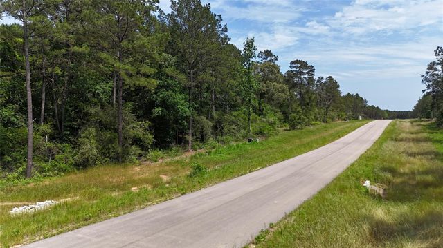 16308 Golden Wood Court, Willis, TX 77378