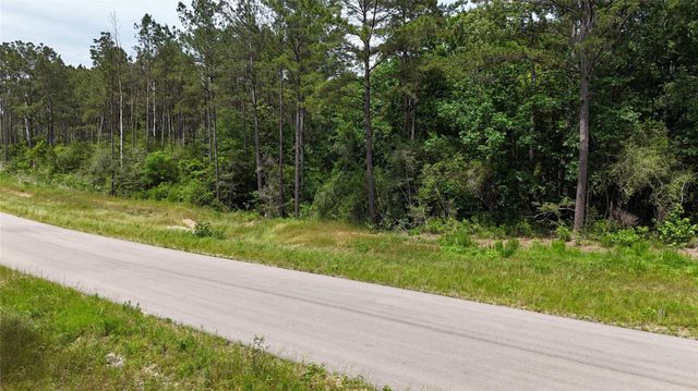 16308 Golden Wood Court, Willis, TX 77378