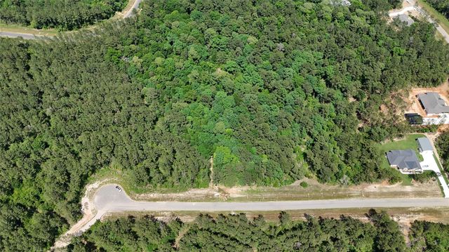 16308 Golden Wood Court, Willis, TX 77378