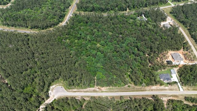 16308 Golden Wood Court, Willis, TX 77378