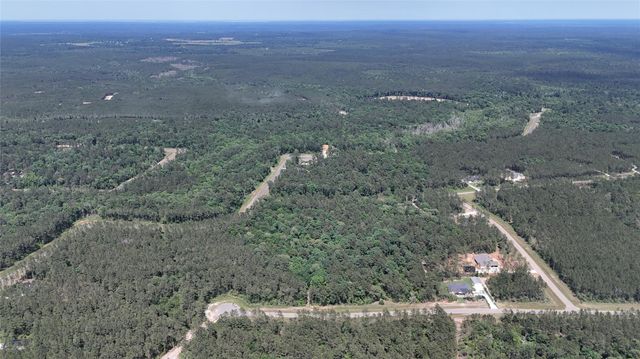 16308 Golden Wood Court, Willis, TX 77378