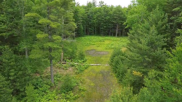 0 Aarwood Trail, Rapid City, MI 49676