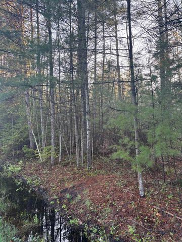 0 Aarwood Trail, Rapid City, MI 49676