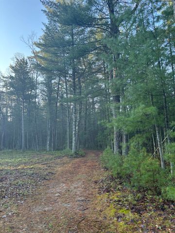 0 Aarwood Trail, Rapid City, MI 49676