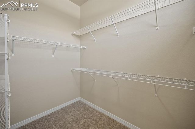 13105 Cake Bread Heights, Colorado Springs, CO 80921