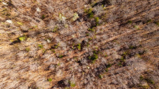 9149 County Road 9640, Koshkonong, MO 65692