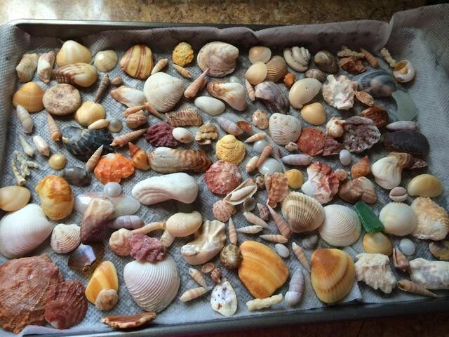 170 Horizons E 302, Boynton Beach, FL 33435