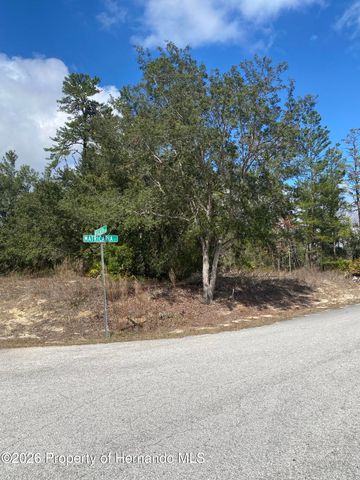 48 Greenpark Boulevard, Homosassa, FL 34446